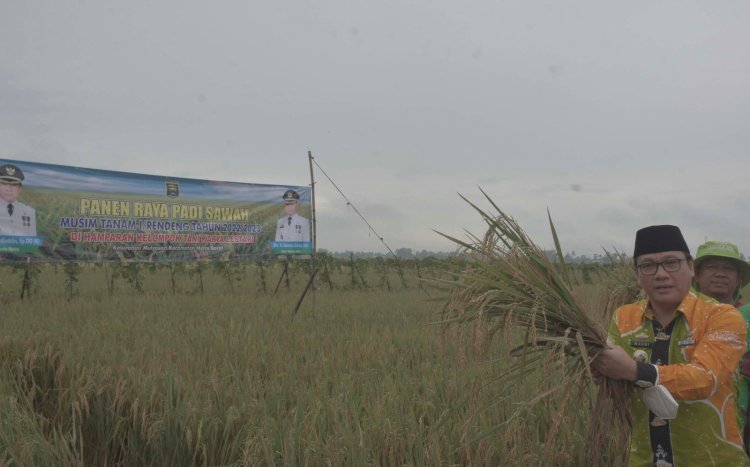 Hadiri Panen Raya, Wahdi : Pertanian Ujung Tombak Pembangunan