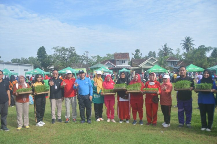 Bagikan Bibit Cabai Ke Murid Sekolah Dasar, Wahdi Harapkan Generasi Muda Senang Bertani