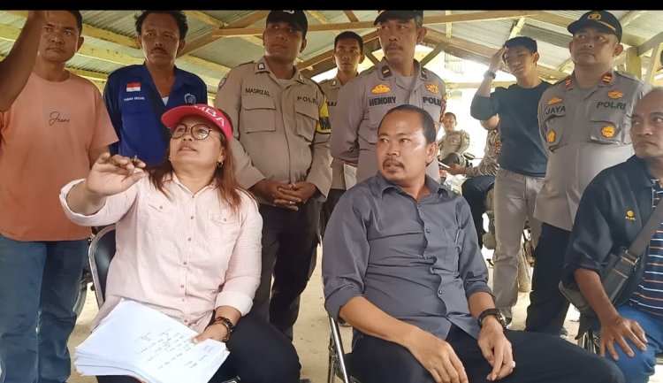 Kegiatan Panen di Lahan KKPA Pasir Ringgit Mulai Bergejolak