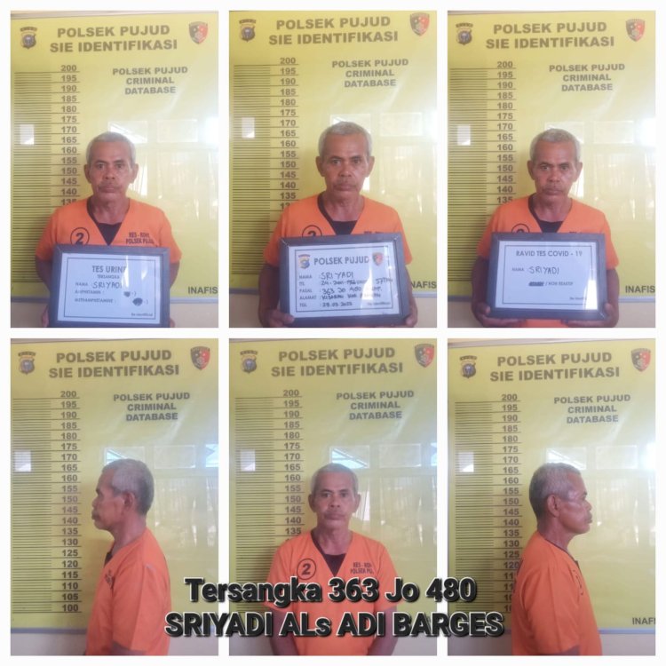 Hasil Pengembangan, DPO dan Penadah Mobil Curian Diciduk Polsek Pujud