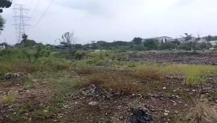 LAI  : Banyak Kepentingan, PT JIEP Main-Main Benahi Hutan Kota ?