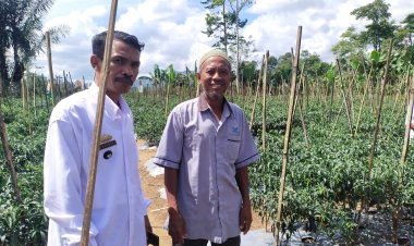 Masyarakat Pekon Gedung Surian Sukses Kelola Program Ketahanan Pangan