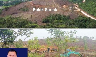 RKN Aktor Dibalik Pembabatan Hutan Bukik Soriak Harau?