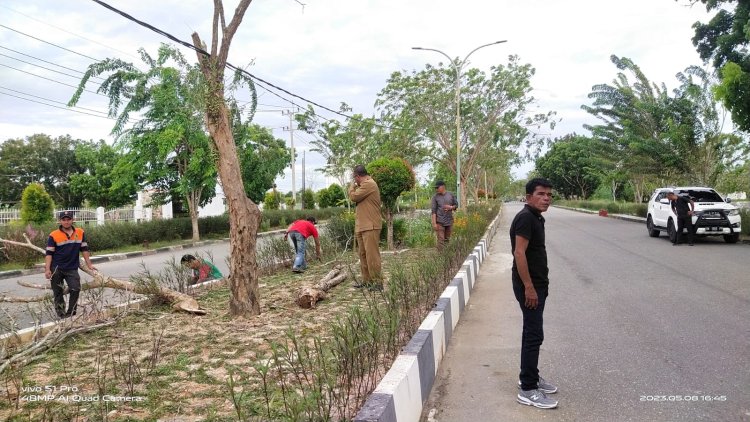 Evakuasi Pohon Tumbang di Depan Kajari, Salah Satu Bentuk Penanganan yang Dilakukan DLH