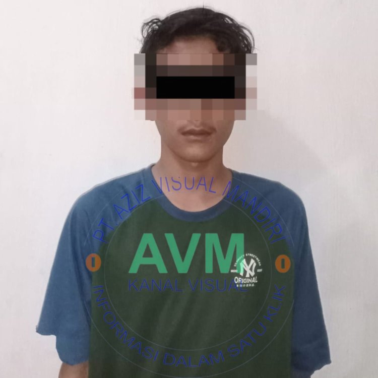 DPO Pelaku Penipuan dan Penggelapan Sepeda Motor Dibekuk Polsek Way Tuba