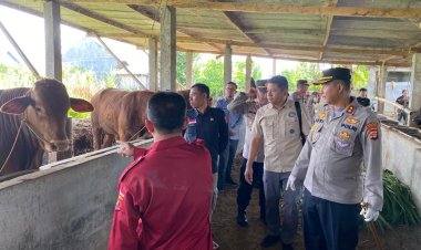Jelang Idul Adha 1444 H, Kapolres Lambar Bersama Dinas Terkait Sidak Kandang Hewan Ternak
