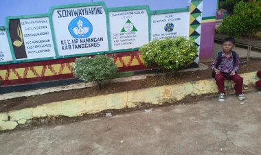 Diduga Ada Penyelewengan Bos di SD 1 Way Harong