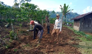 Masyarakat Pekon Cipta Mulya Gotong Royong Bersihkan Bahu Jalan