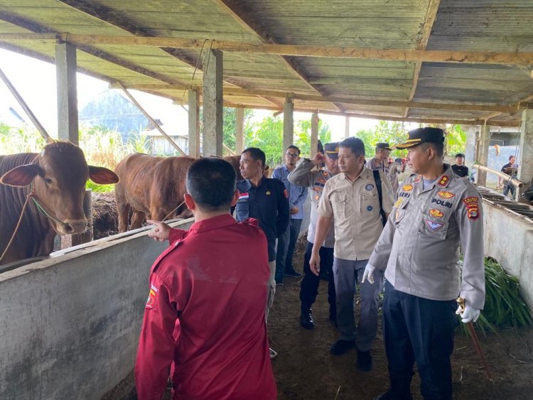 Jelang Idul Adha 1444 H, Kapolres Lambar Bersama Dinas Terkait Sidak Kandang Hewan Ternak