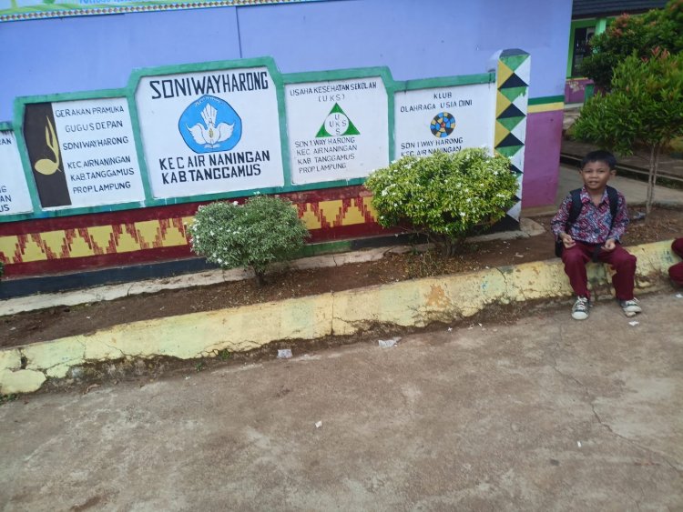 Diduga Ada Penyelewengan Bos di SD 1 Way Harong