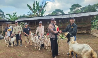 Bantuan Kambing Dibagikan Pemerintah Pekon Tambak Jaya, Program Ketahanan Pangan Hewani
