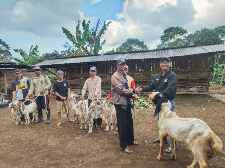 Bantuan Kambing Dibagikan Pemerintah Pekon Tambak Jaya, Program Ketahanan Pangan Hewani