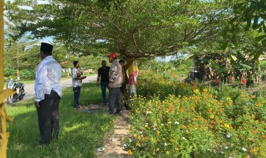 DLH Rohil Gelar Pengecatan Pohon Ketapang, Meriahkan HUT RI ke-78 Tahun 2023