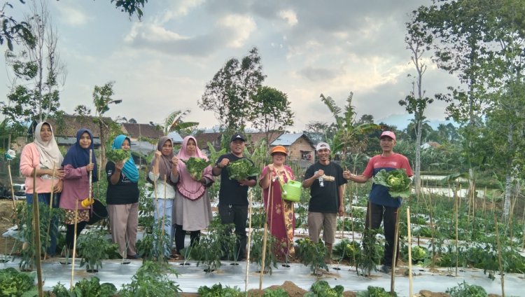 Pemerintah Pekon Purawiwitan Prioritaskan Ketahanan Pangan Kepada Kelompok Tani Wanita