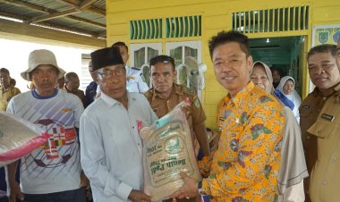 Bupati Rohil Serahkan Bantuan Benih Padi ke Gapoktan, Dukung Program Ketapang