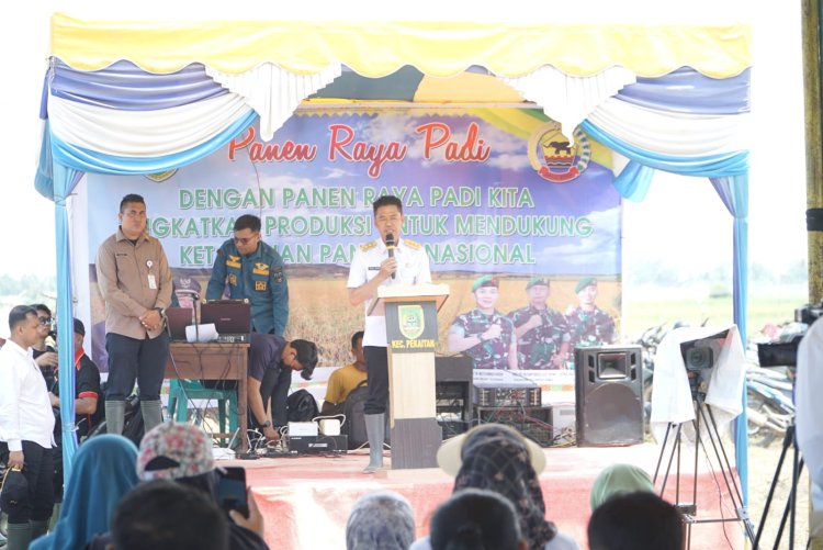 Dukung Ketahanan Pangan, Bupati Rohil Hadiri Panen Raya Padi Binaan Kodim 0321