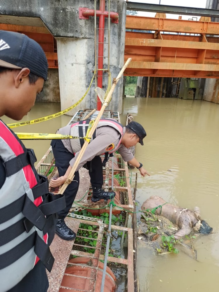 Jasad Wanita Tanpa Busana di PLTA Way Besai Sumber Jaya