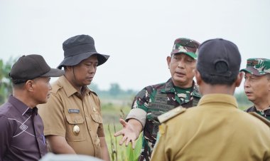 Tinjau Lokasi Ketahanan Pangan di Pekaitan, Wabup Rohil Dampingi Kasdam l/BB