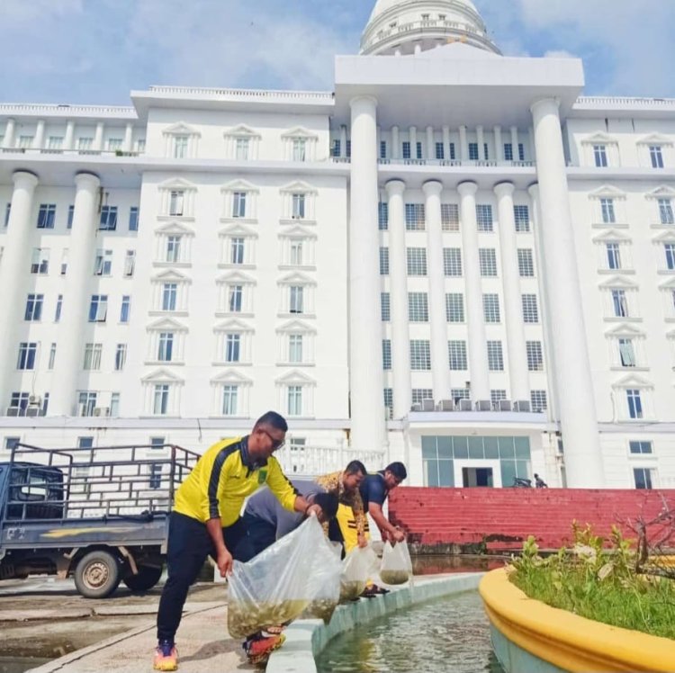 Kabag Umum Sekda Rohil Tabur Benih Ikan Nila di Kolam Air Mancur Kantor Bupati