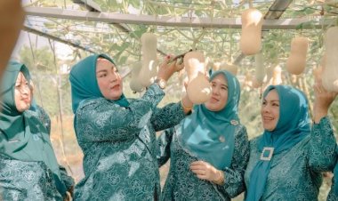 Ikuti Kegiatan Penanaman Cabai, Tim Pengerak PKK Peringati HKG ke-52