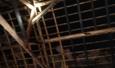 1 Hari Paska Bencana Angin Puting Beliung, Pemda Lampung Selatan Belum Berikan Bantuan