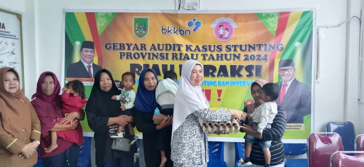 Ikuti Gebyar Audit Kasus Stunting, DP2KBP3A Rohil Bersama Puskesmas Zoom Meeting