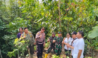 Tim Gabungan Penanganan Satwa Liar di Suoh Berhasil Tangkap Harimau Sumatera