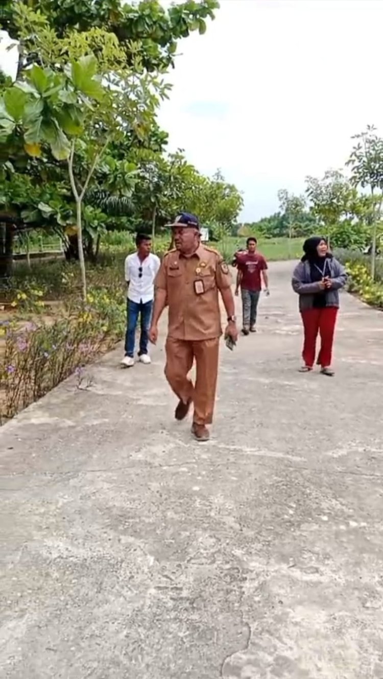 Jadikan Tujuan Wisata Alternatif Masyarakat Rohil, Jembatan Pedamaran l Diubah Sebagai Taman