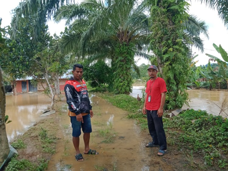 Petani Ikan di Kecamatan Kebun Tebu Merugi Hingga Miliaran Rupiah Akibat Banjir Bandang