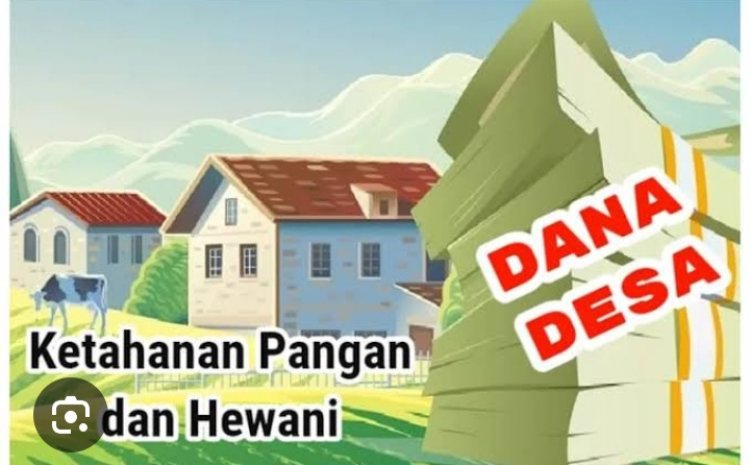 Mantan Kades Koto Kari Diduga Mark-Up Pembelian Sapi DD Tahun 2022