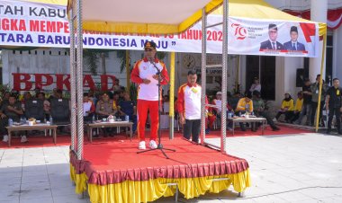 Meriahkan HUT Kemerdekaan RI ke-79, Pemkab Rohil Adakan Lomba Pawai Karnaval