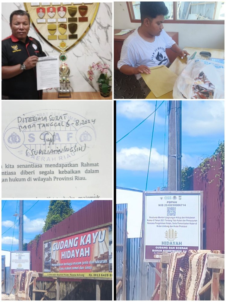 Kritisi Kimerja Polres Kampar,  LSM Gakorpan Laporkan Gudang Diduga Penampungan Kayu Ilegal Logging