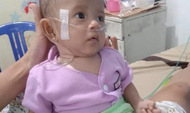 Bayi Mungil Haura Al-Maira Berjuang Melawan Jantung Bocor, Butuh Uluran Tangan Dermawan