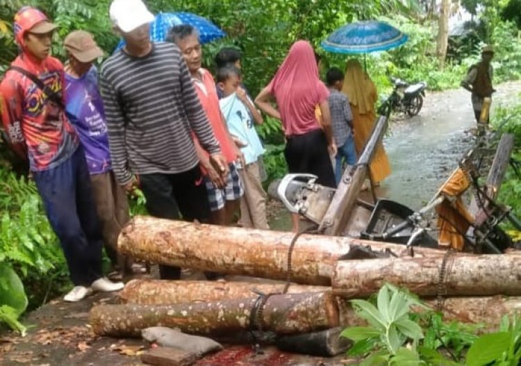 Polsek Limau Identifikasi Kasus Warga Meninggal Tertimpa Motor Bermuatan Kayu