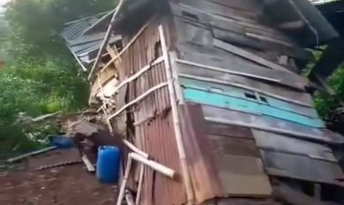 7 Rumah Warga  Tanggamus di Rusak Kawanan Gajah Liar