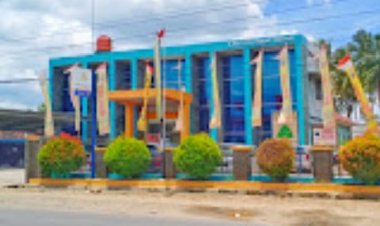 Camat Natar Diduga Gagal Paham Aturan Pencairan Dana Desa