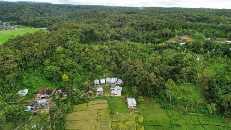 GMBI Pesisir Barat Layangankan Surat Penolakan ke Kemenkes, Relokasi Rumah Sakit Terkesan Dipaksakan