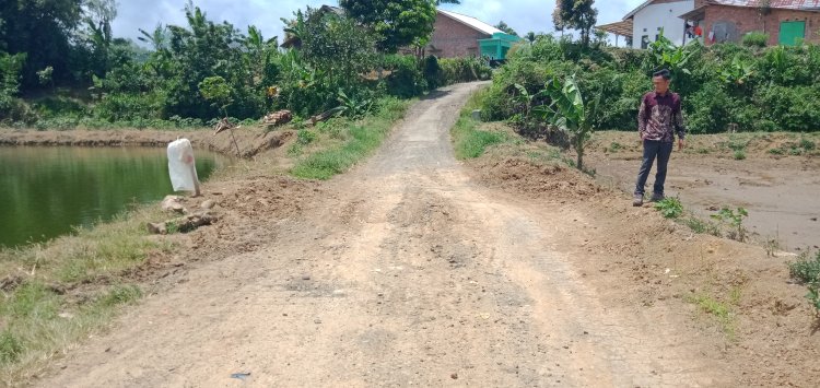 Jalan Kabupaten di Pekon Tugu Mulya, Butuh Perhatian Khusus dari Dinas PUPR