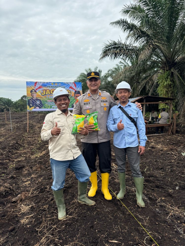 Polsek Pujud Polres Rohil Dukung Program Asta Cita Presiden RI, Tanam Jagung 1 Juta Hektare