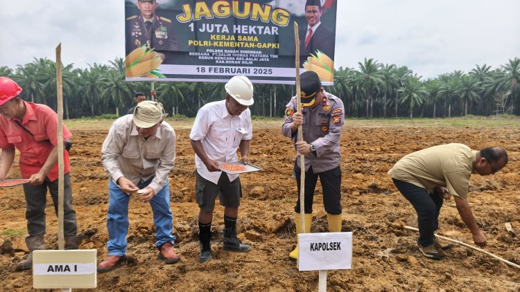 Polsek Bagan Sinembah Bersama PT. Salim Ivomas Pratama Tbk, Tanam Jagung 1 Ha Program Ketapang