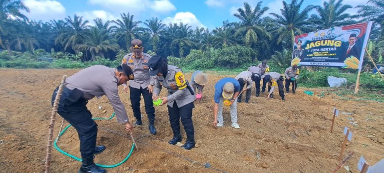 Tanam Jagung 1 Juta Hektar, Polsek Bagan Sinembah Dukung Ketapang