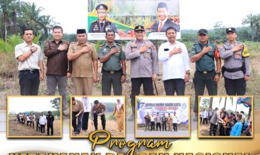 Kapolres Rohil Tumpangsari Tanaman Jagung di Lahan Sawit, Dukung Ketapang Nasional