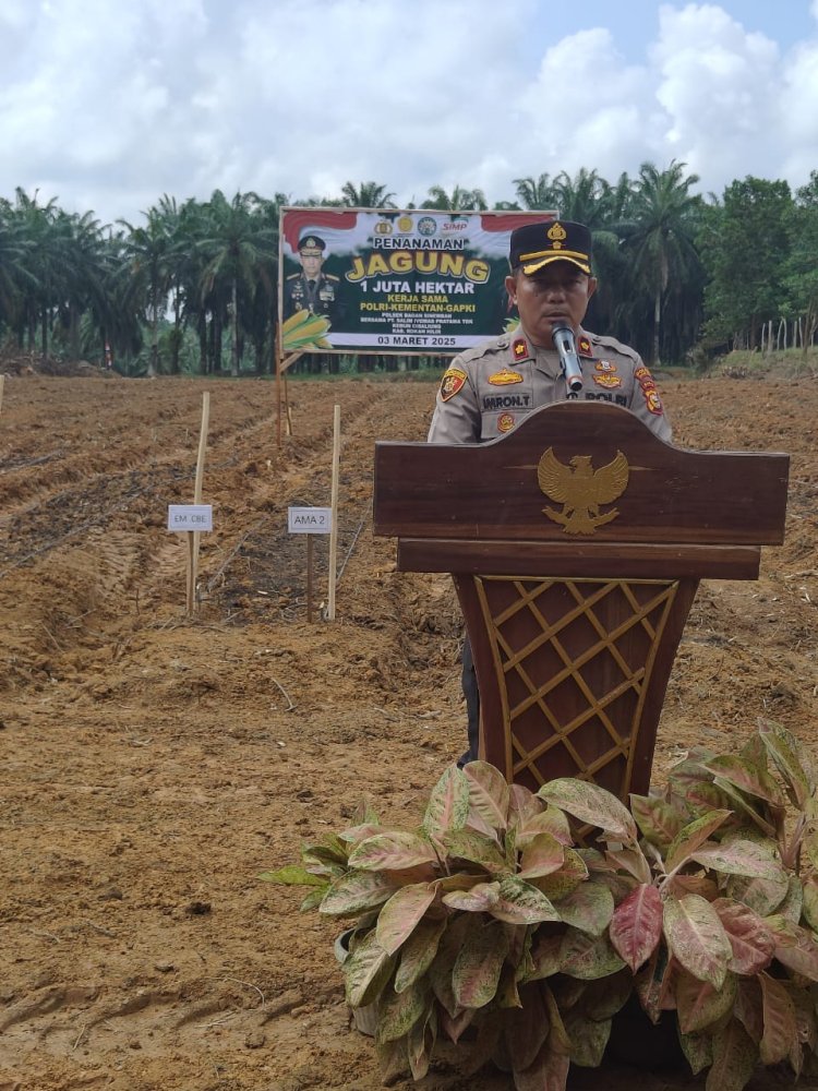 Dukung Program Ketapang, Polsek Bagan Sinembah Tanam Jangung Bersama PT CTP