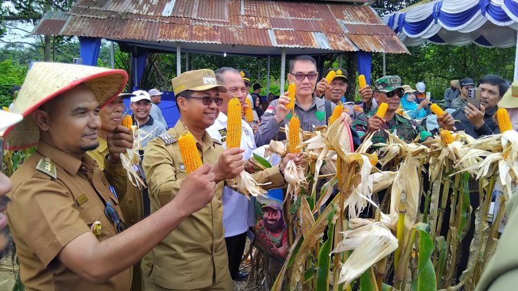 Wakil Bupati Serahkan Benih Usai Panen Jagung Perdana Program Ketapang
