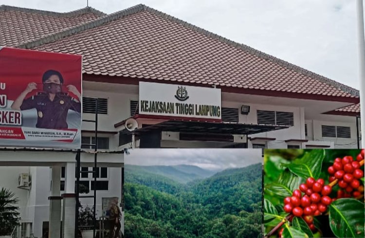 Dugaan Mafia Tanah, Alih Fungsi Lahan dan Pengrusakan Kawasan Hutan TNBBS Dilaporkan GERMASI ke Kejati Lampung