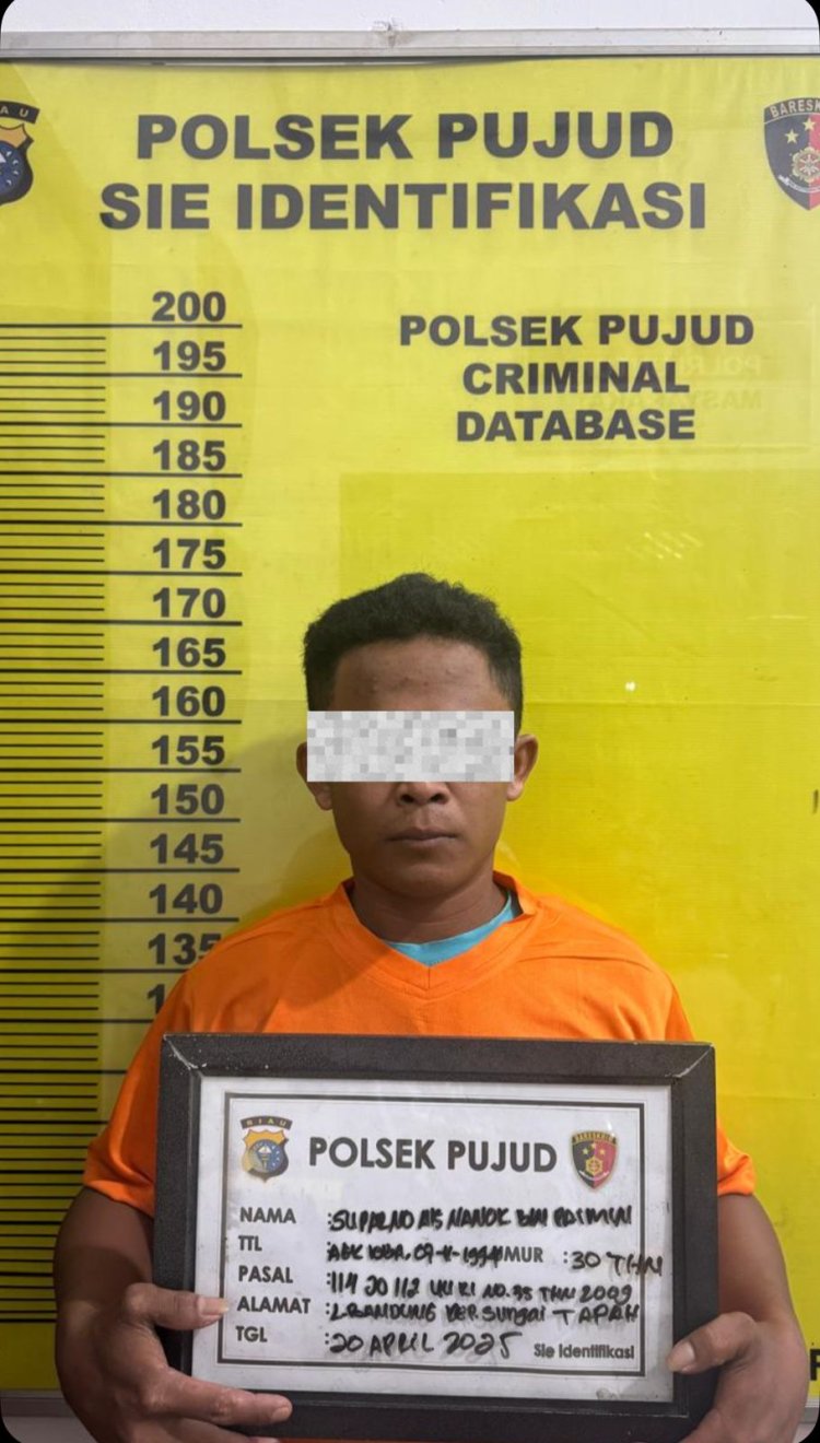 Diduga Sering Transaksi Sabu di Simpang Lombok, Polsek Pujud Amankan Seorang Pria