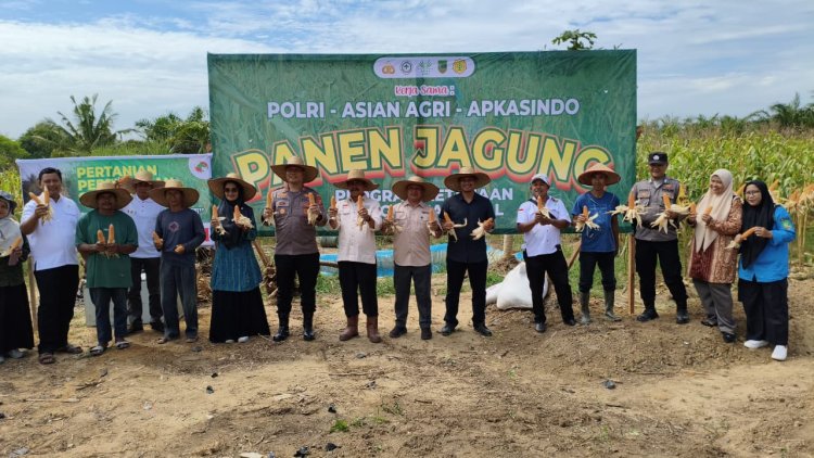 Polsek Bagan Sinembah Panen Jagung, Dukung Ketapang Nasional dan Asta Cita Presiden RI