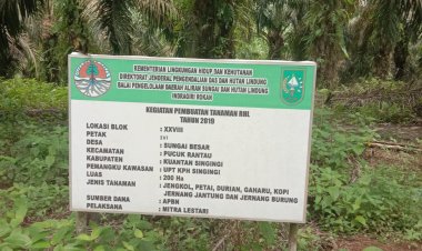 Diduga Bentuk KTH Fiktif, HLBB Dikuasai Pengusaha. Satgas PKH Diminta Bertindak
