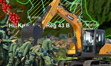 Dugaan Perusakan Hutan Lindung di Sidomulyo: Polisi Kehutanan Diminta Tak Hanya Selfie di Lokasi