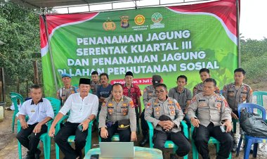Polres Pesisir Barat Bersama Tokoh Masyarakat Laksanakan Penanaman Jagung Serentak Kuartal III